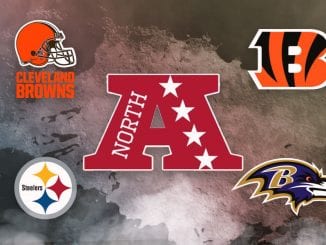 Browns, Bengals, Ravens, Steelers, AFC North, NFL