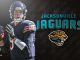 Nick Foles, Jaguars, Bears